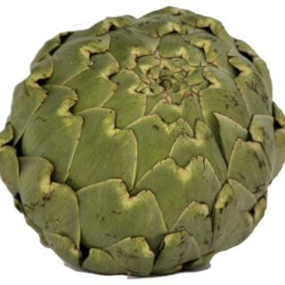 Artichoke